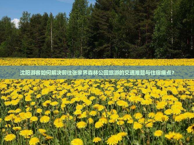 沈阳游客如何解决前往张家界森林公园旅游的交通难题与住宿痛点？