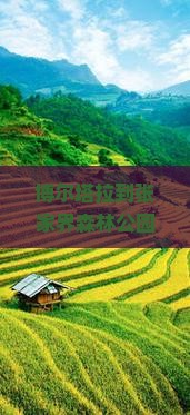 博尔塔拉到张家界森林公园怎么安排行程？需要多久？费用大概是多少？