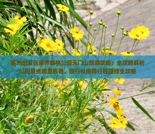 苏州出发张家界森林公园天门山旅游攻略：全攻略解析公园景点哪里看看，旅行社推荐行程路线全攻略