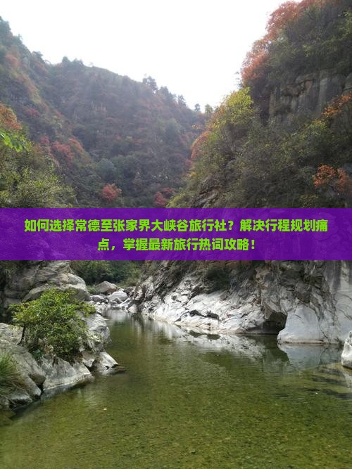 如何选择常德至张家界大峡谷旅行社？解决行程规划痛点，掌握最新旅行热词攻略！
