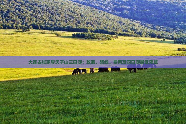 大连去张家界天子山三日游：攻略、路线、费用及四日游最低预算