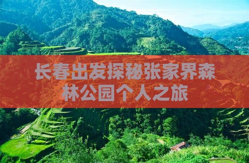 长春出发探秘张家界森林公园个人之旅