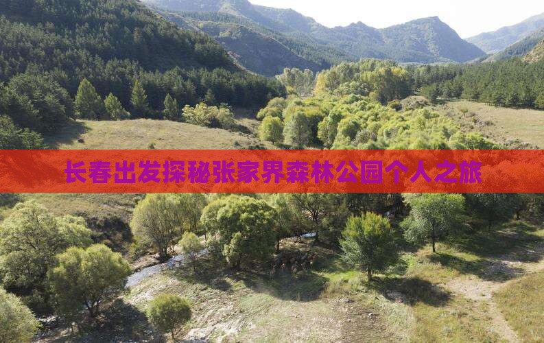 长春出发探秘张家界森林公园个人之旅