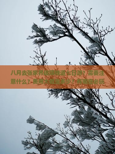 八月去张家界玻璃栈道七日游？需要注意什么？费用大概是多少？有哪些必玩项目？