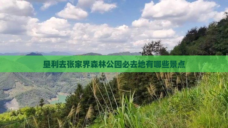 垦利去张家界森林公园必去地有哪些景点