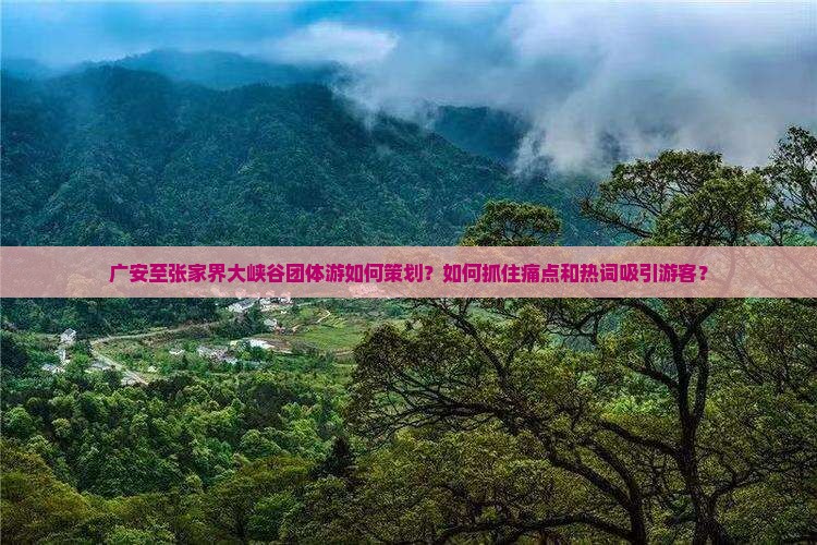 广安至张家界大峡谷团体游如何策划？如何抓住痛点和热词吸引游客？