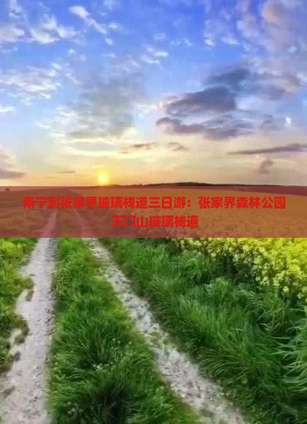 南宁到张家界玻璃栈道三日游：张家界森林公园+天门山玻璃栈道