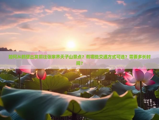如何从鹤壁出发前往张家界天子山景点？有哪些交通方式可选？需要多长时间？