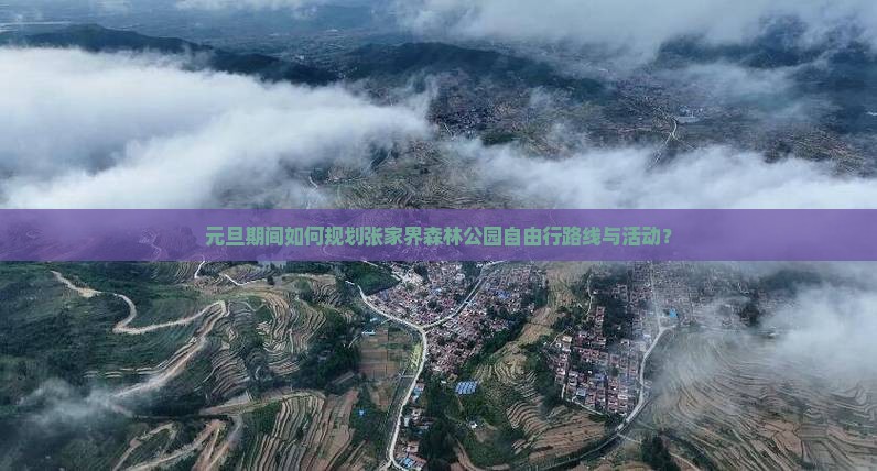 元旦期间如何规划张家界森林公园自由行路线与活动？