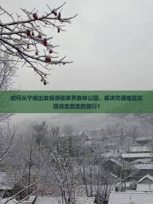 如何从宁德出发畅游张家界森林公园，解决交通难题实现说走就走的旅行？