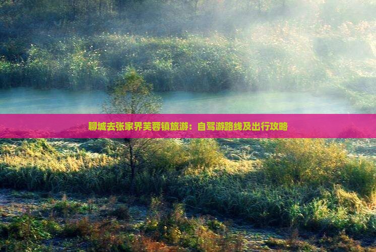 聊城去张家界芙蓉镇旅游：自驾游路线及出行攻略