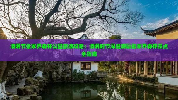 清明节张家界森林公园旅游攻略：清明时节深度游玩张家界森林景点全指南