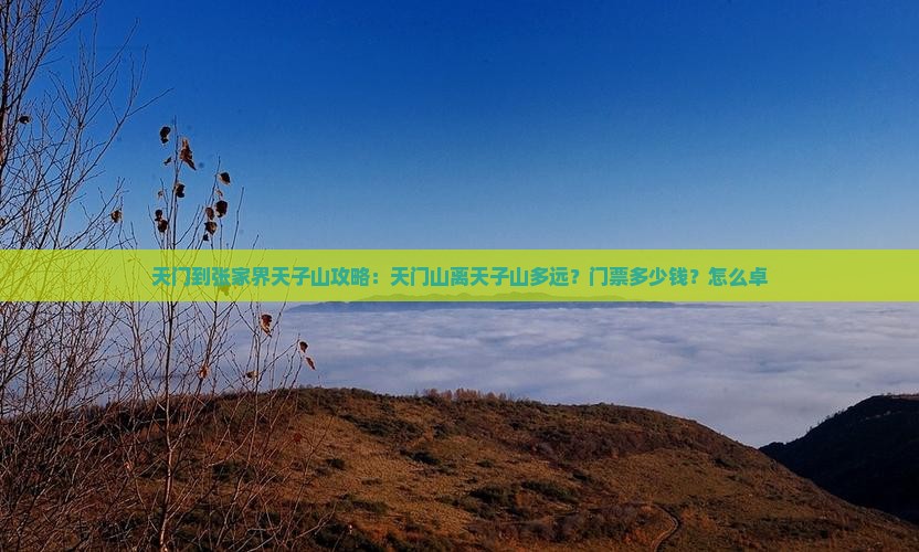 天门到张家界天子山攻略：天门山离天子山多远？门票多少钱？怎么卓