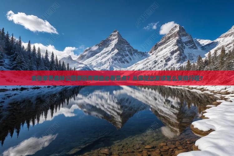 去张家界森林公园游玩有哪些必看景点？从保定出发该怎么安排行程？