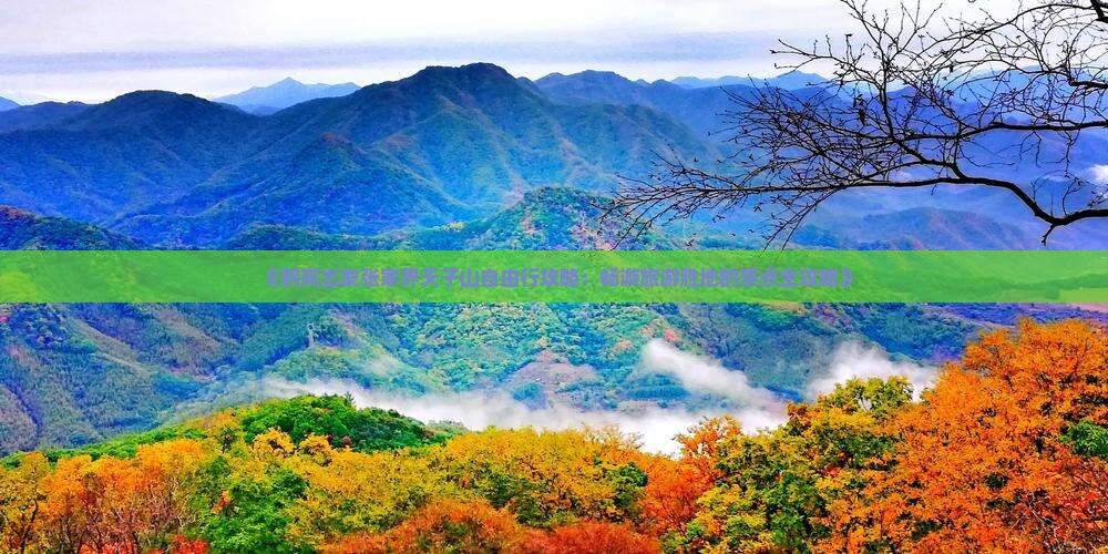《鹤岗出发张家界天子山自由行攻略：畅游旅游胜地的景点全攻略》
