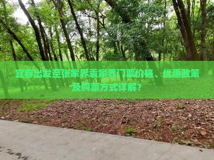 宜春出发至张家界袁家界门票价格、优惠政策及购票方式详解？