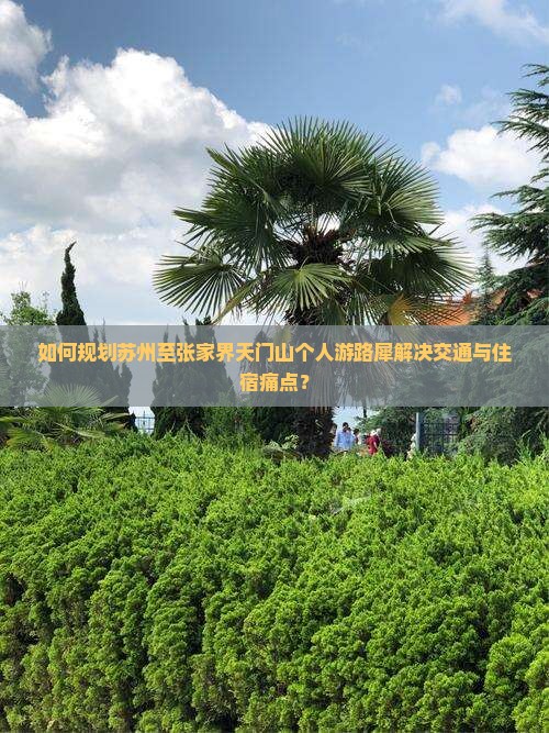 如何规划苏州至张家界天门山个人游路犀解决交通与住宿痛点？