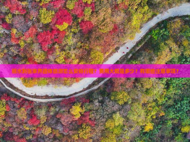 丽水到张家界团体旅游怎么安排行程？费用大概是多少？有哪些注意事项？