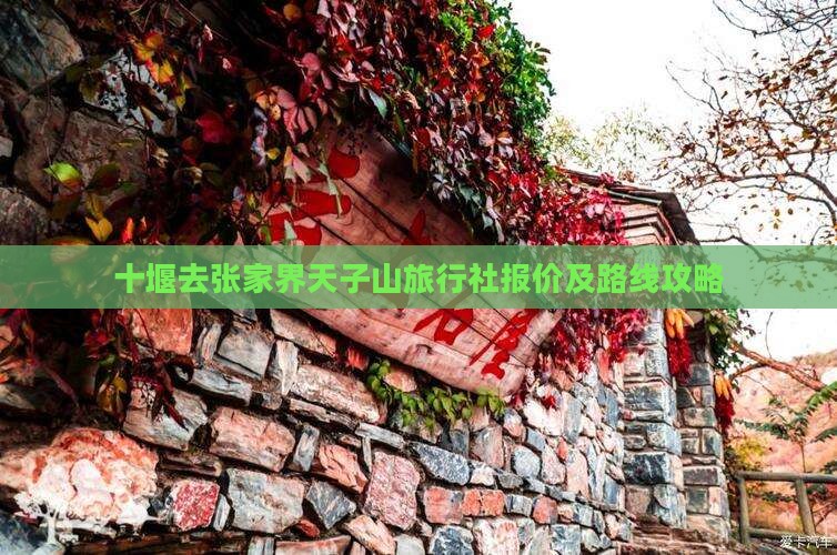 十堰去张家界天子山旅行社报价及路线攻略