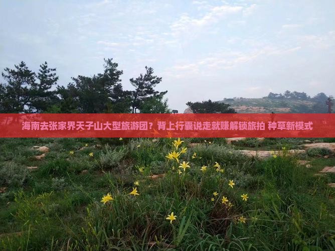 海南去张家界天子山大型旅游团？背上行囊说走就赚解锁旅拍+种草新模式