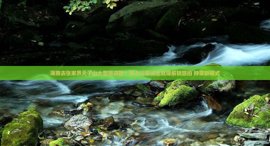 海南去张家界天子山大型旅游团？背上行囊说走就赚解锁旅拍+种草新模式