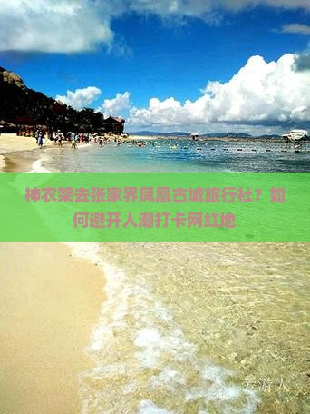 神农架去张家界凤凰古城旅行社？如何避开人潮打卡网红地