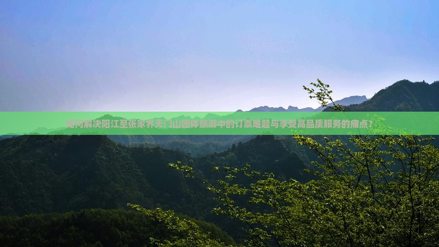 如何解决阳江至张家界天门山团体旅游中的订票难题与享受高品质服务的痛点？
