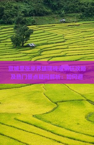 宣城至张家界玻璃栈道游玩攻略及热门景点疑问解析：如何避开人潮拥挤？