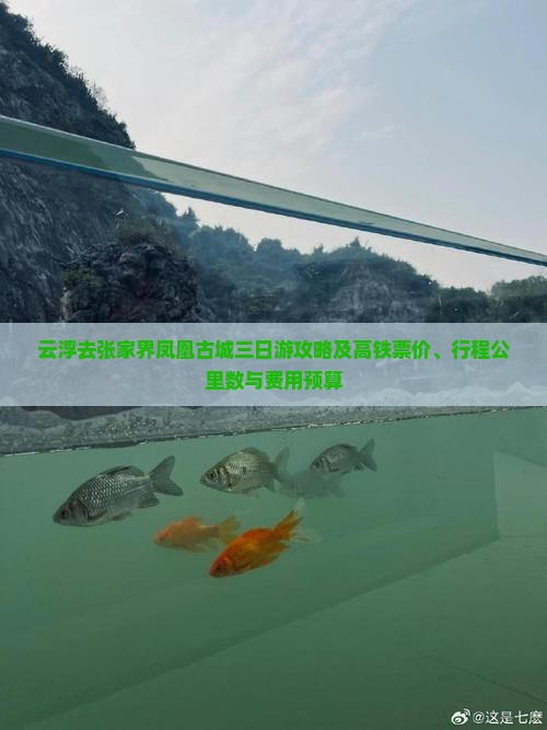 云浮去张家界凤凰古城三日游攻略及高铁票价、行程公里数与费用预算