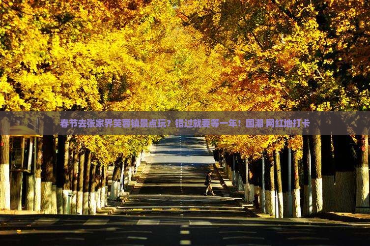 春节去张家界芙蓉镇景点玩？错过就要等一年！国潮+网红地打卡