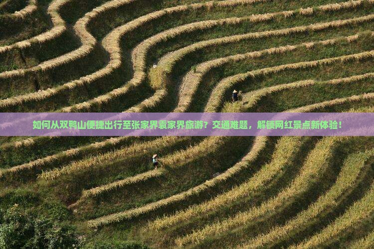 如何从双鸭山便捷出行至张家界袁家界旅游？交通难题，解锁网红景点新体验！