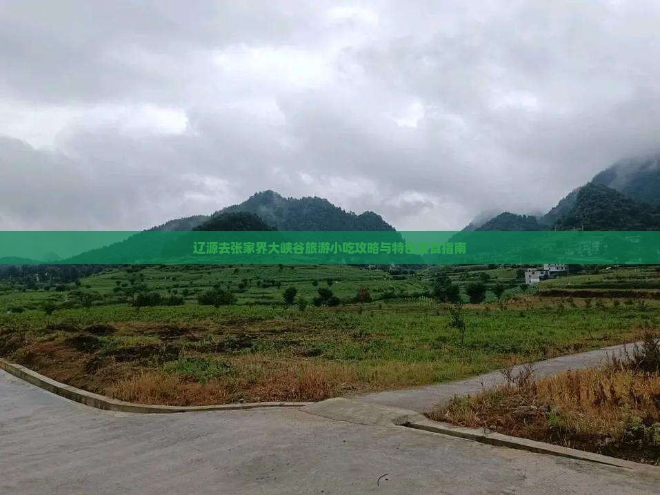 辽源去张家界大峡谷旅游小吃攻略与特色美食指南