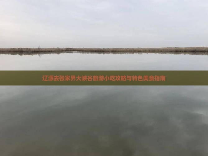 辽源去张家界大峡谷旅游小吃攻略与特色美食指南