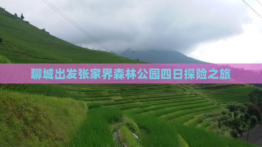 聊城出发张家界森林公园四日探险之旅