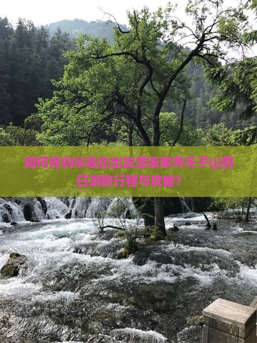 如何规划从延边出发至张家界天子山四日游的行程与攻略？