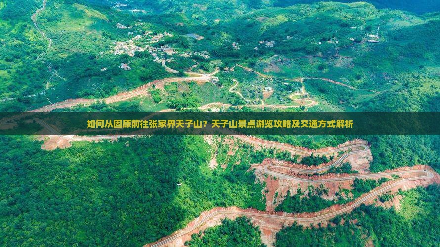 如何从固原前往张家界天子山？天子山景点游览攻略及交通方式解析