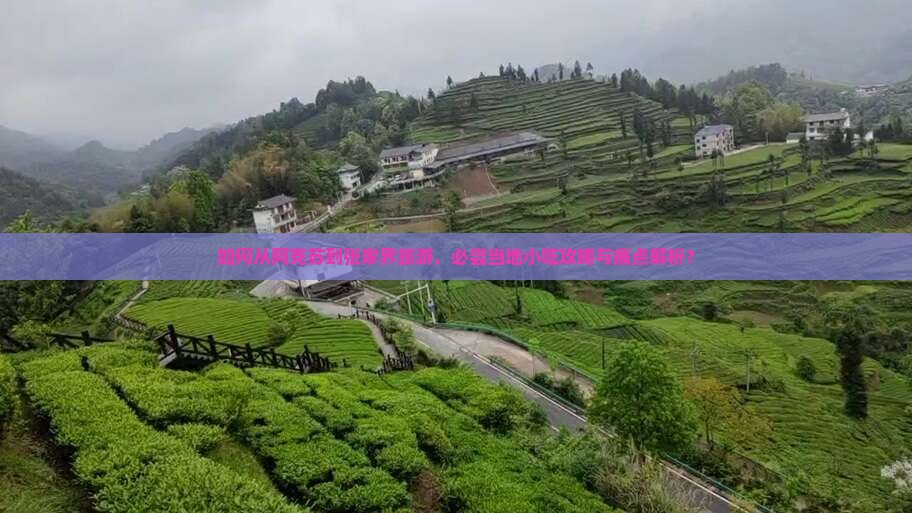 如何从阿克苏到张家界旅游，必尝当地小吃攻略与痛点解析？