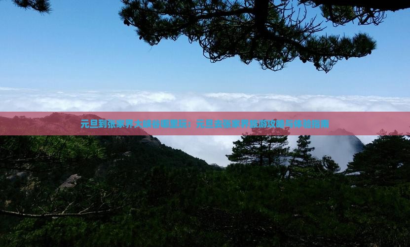 元旦到张家界大峡谷哪里玩：元旦去张家界旅游攻略与体验指南