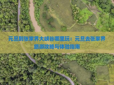元旦到张家界大峡谷哪里玩：元旦去张家界旅游攻略与体验指南