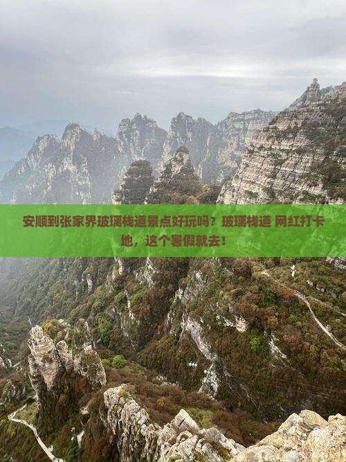 安顺到张家界玻璃栈道景点好玩吗？玻璃栈道+网红打卡地，这个暑假就去！