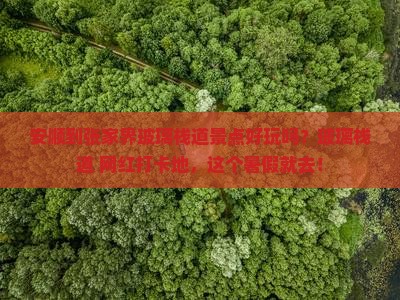 安顺到张家界玻璃栈道景点好玩吗？玻璃栈道+网红打卡地，这个暑假就去！