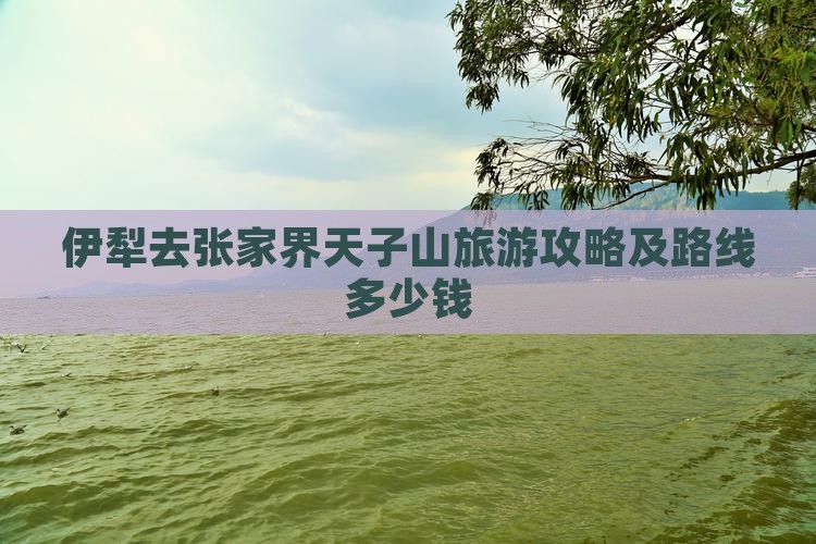 伊犁去张家界天子山旅游攻略及路线多少钱