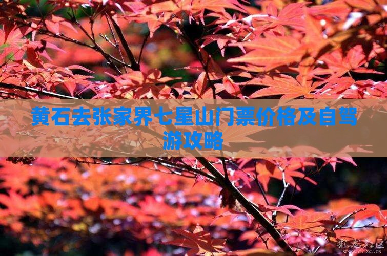 黄石去张家界七星山门票价格及自驾游攻略