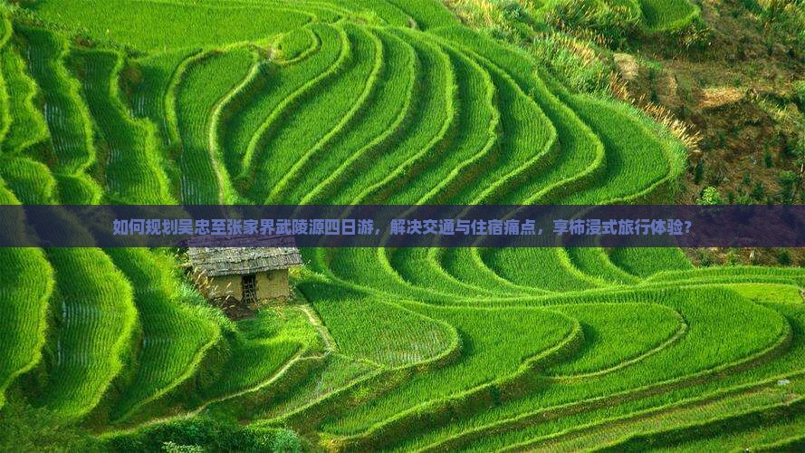如何规划吴忠至张家界武陵源四日游，解决交通与住宿痛点，享柿浸式旅行体验？