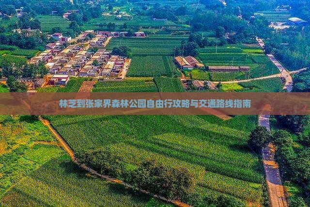 林芝到张家界森林公园自由行攻略与交通路线指南