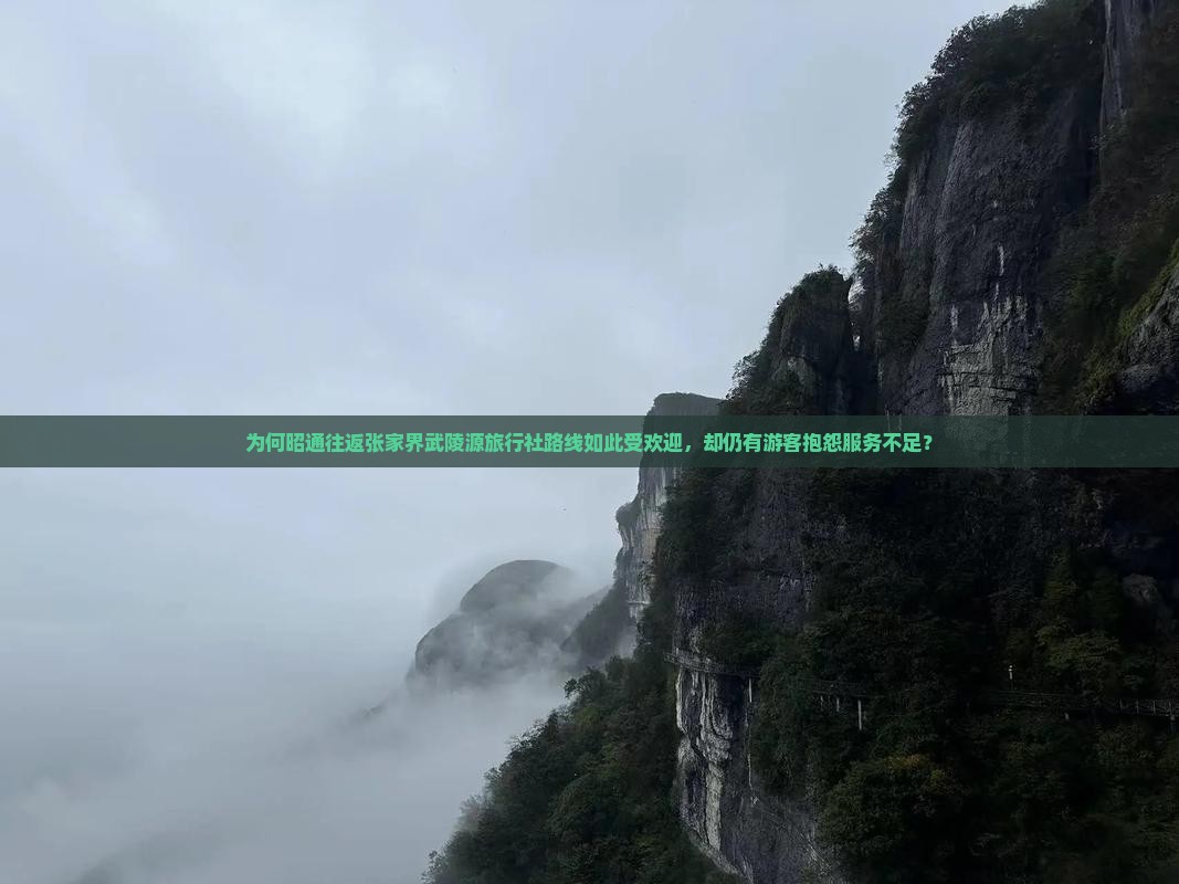 为何昭通往返张家界武陵源旅行社路线如此受欢迎，却仍有游客抱怨服务不足？