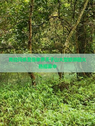 克拉玛依至张家界天子山大型旅游团火热招募中