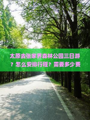 太原去张家界森林公园三日游？怎么安排行程？需要多少费用？有哪些注意事项？