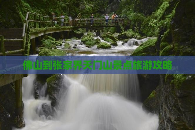佛山到张家界天门山景点旅游攻略