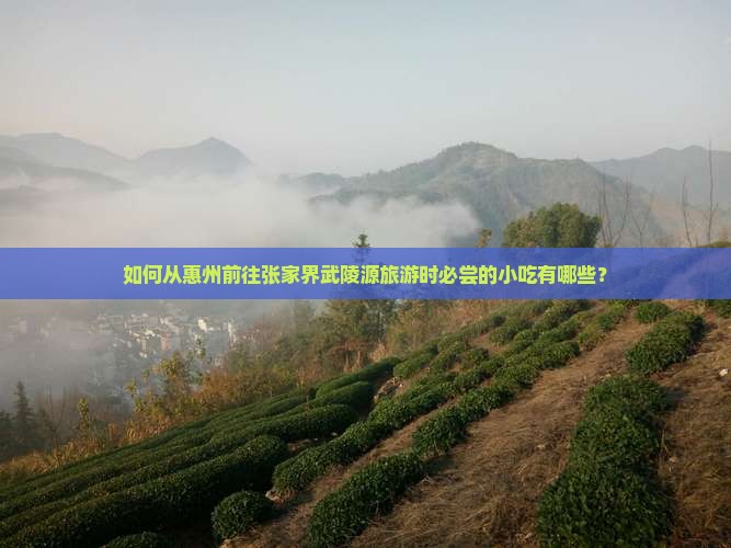 如何从惠州前往张家界武陵源旅游时必尝的小吃有哪些？